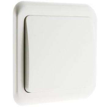 Interrupteur ZENITECH Antaria Blanc Encastré