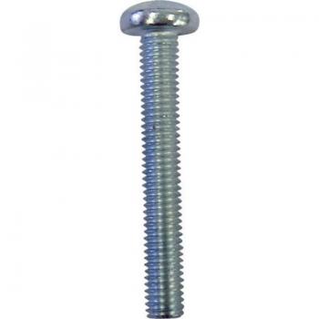 Toolcraft Vis Tête Bombée 839819 – 100 unités, M3, 6 mm, Torx, Acier