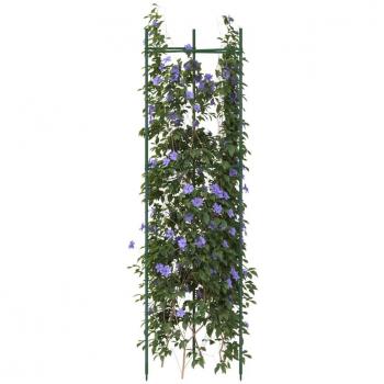 Steel and PP Tomato Support Cages (2 pcs), 116 cm, vitaXL