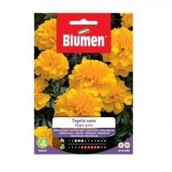 Blumen Semi di Tagete nano doppio giallo