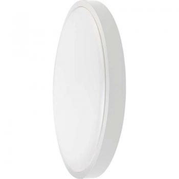 Lámpara de Techo Redonda 36W 3820lm con Chip Samsung