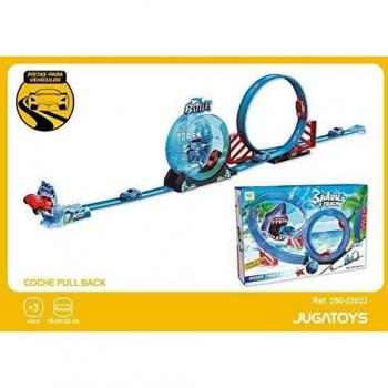Pista de Carreras con Looping y Coche Micro