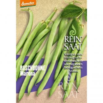 ReinSaat Fagiolini Verde Marona