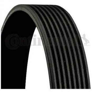 CONTITECH 8PK1460 DAF Keilrippenriemen