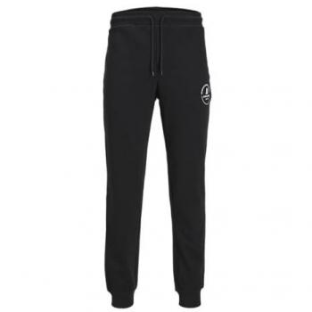 Jack & Jones Plus Sweathose Gordon