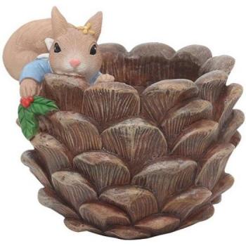 Petite Succulente Écureuil