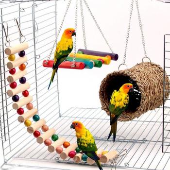 Hamac dernier cri pour animaux – Confort et divertissement