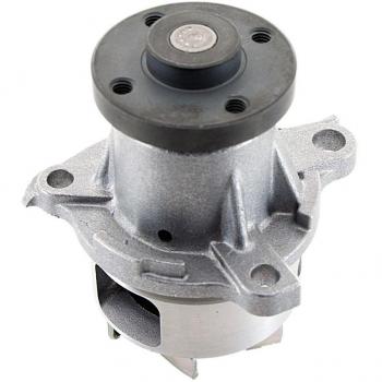 SKF VKPC 97202 Residential Water Pump Set