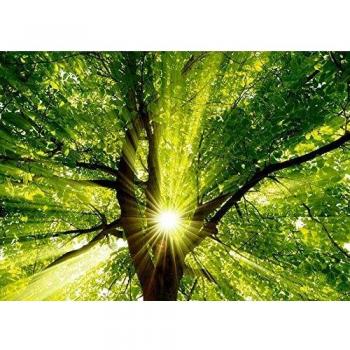 Full Circle Diamond Craft Kit – 5D Trees