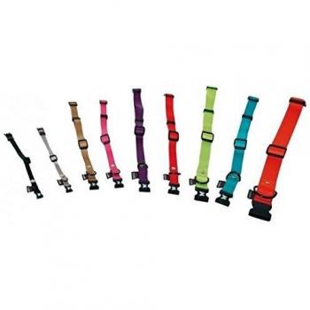 Nylon Halsband Groen Verstelbaar Martin