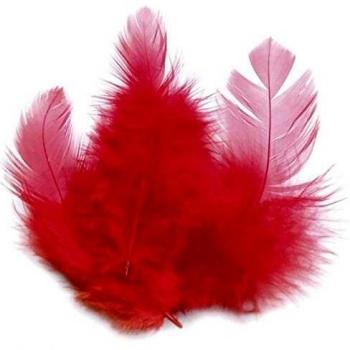 Plumas de coq