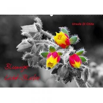 Blumige Licht-Blicke (Wandkalender immerwährend DIN A2 quer)