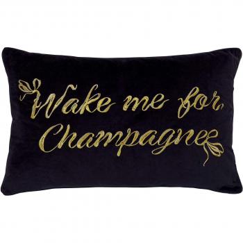Ted Baker Black Velvet Champagne Cushion