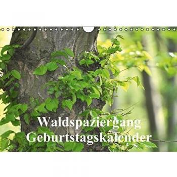 Waldspaziergang/Geburtstagskalender