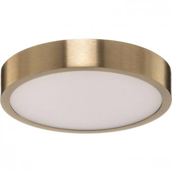 ORION Bully LED Ceiling Light