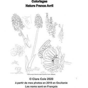 Coloriages Nature France Avril