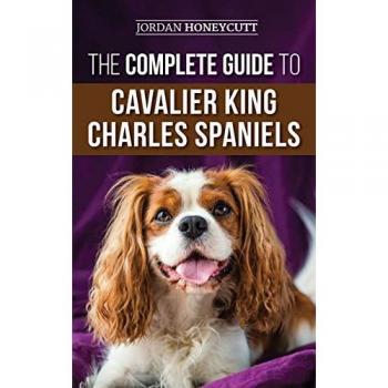 The Complete Guide to Cavalier King Charles Spaniels