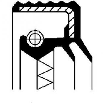 Paraolio Corteco 12013927B