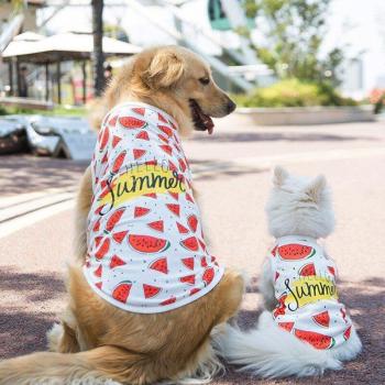 Estampado de Frutas para Perros Grandes