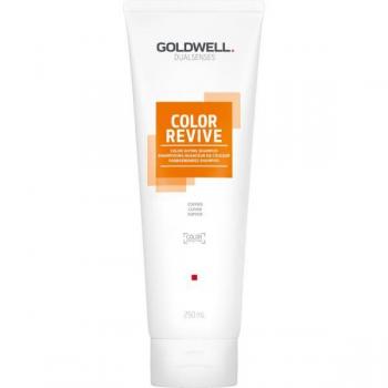 Goldwell Dualsenses Color Color Giving Shampoo Rame 250ml