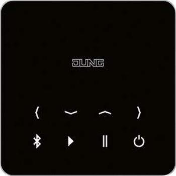 Jung Bluetooth‑Display CD500 (schwarze Version)