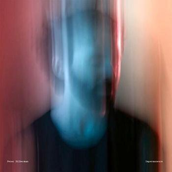 Impermanence [LP] by Peter Silberman (Record, 2017) New & Sealed 12 Vinyl LP