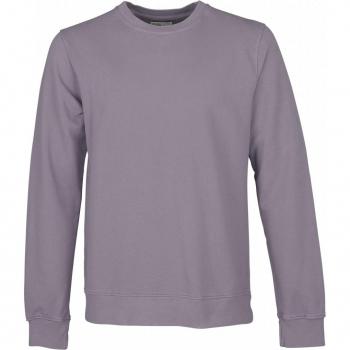 Sudadera Cuello Redondo Colorful Standard