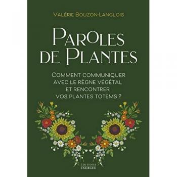 Paroles de plantes : comment communiquer avec le règne végétal et rencontrer vos plantes totems ?