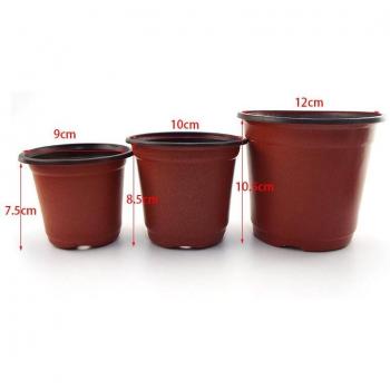 Kwekerij Transplantatie Lades – 50 stuks plastic