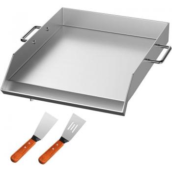 Plancha Gaz Extérieure Professionnelle – Plaque Fonte 46x40 cm, Inox, Charbon ou Bois