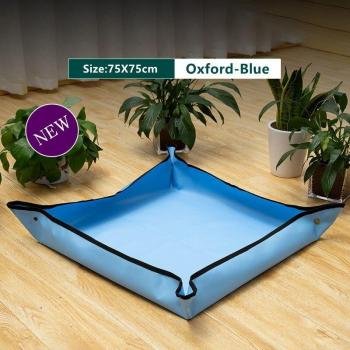 ReGrow Seedling Transfer Pad