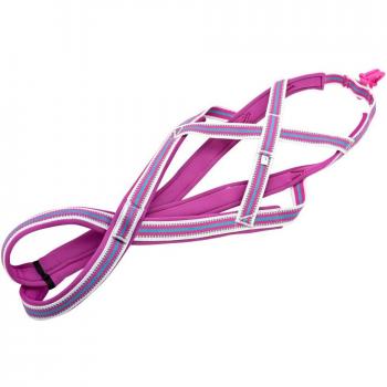 Dog Training Harness