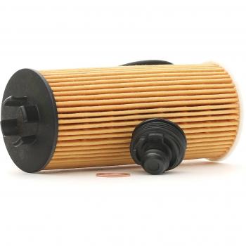 Filtro Olio Ridex 7O0179 per Gran Tourer (F46)