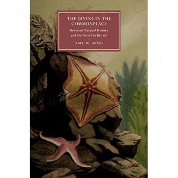 King, Amy M.: The Divine in the Commonplace