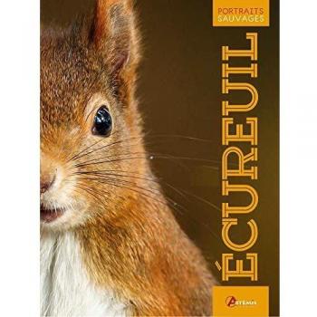 L'écureuil