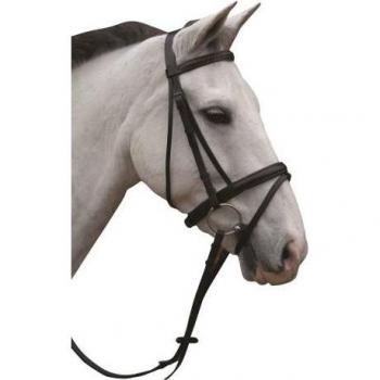 Redini Gomma X‑Small Briglia Flash Nera Imbottita