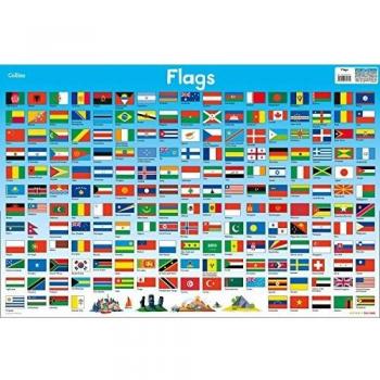 Flags: 9