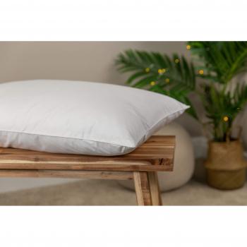 Snuggledown Bliss Extra Deep Cotton Touch Pillow White