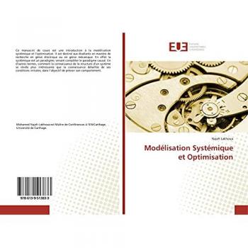 Modélisation Systémique Et Optimisation