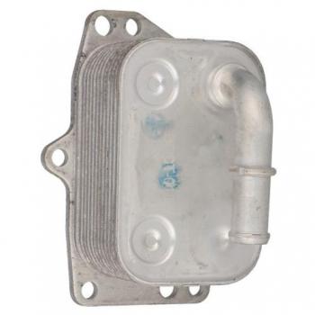 CLIMTEX CH8-177 Raffreddatore Olio Motore