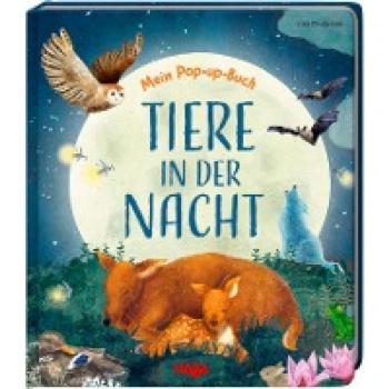 Mein Pop-up-Buch