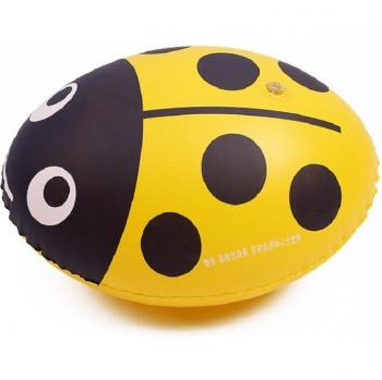 Swimming Inflated Flotation Ball