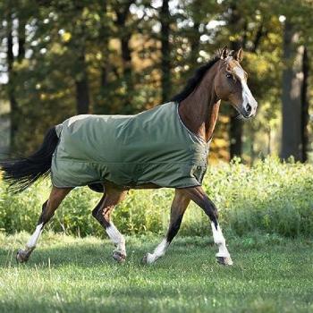 Pferdedecke Kavalkade (135 cm) – Outdoor