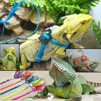 Durable Polyester Lizard Harness