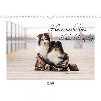 Herzensshelties