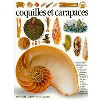Coquilles Et Carapaces