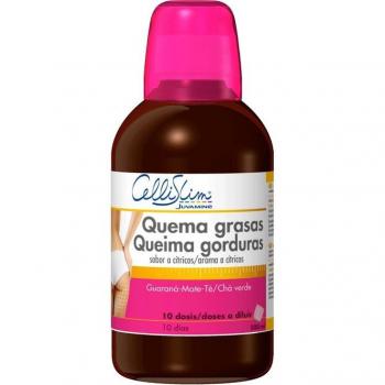 3 x Bebida Queima Gorduras 500 g (Chá verde