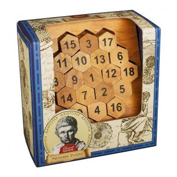 Puzzle Brainteaser in Legno Aristotele