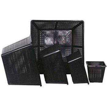 Mini Bermuda Aquatic Pond Basket Square 19cm