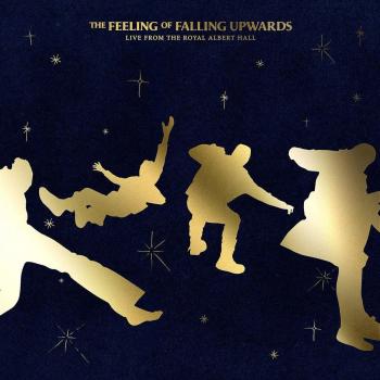 LP The Feeling of Falling Upwards by 5 Seconds Of Summer
